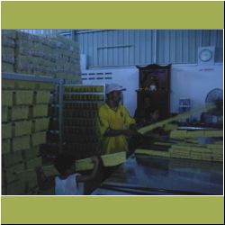 noodle-factory-breaking noodles.jpg